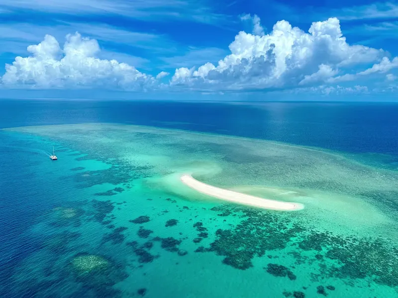 Ocean reference